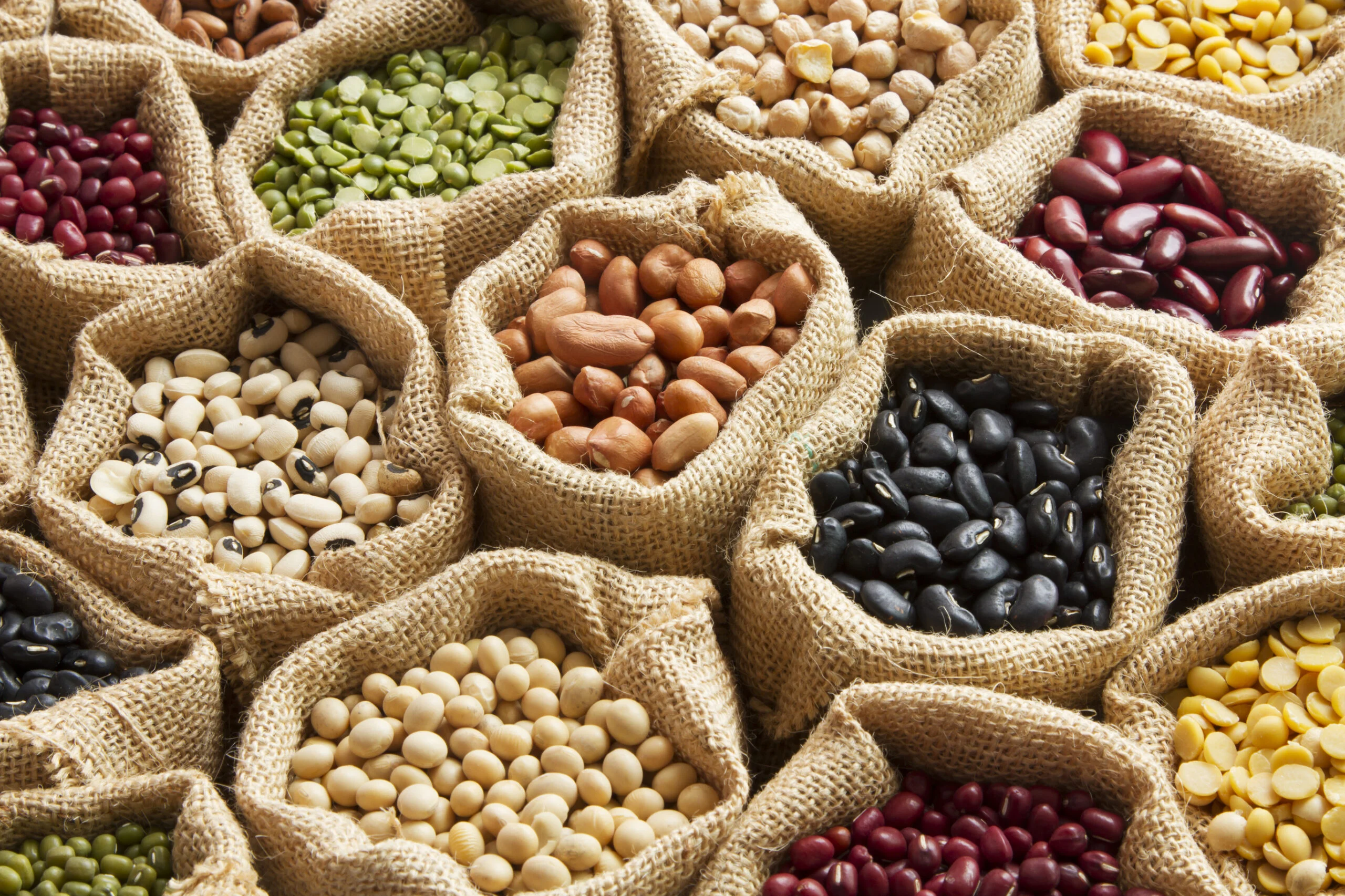 Beans